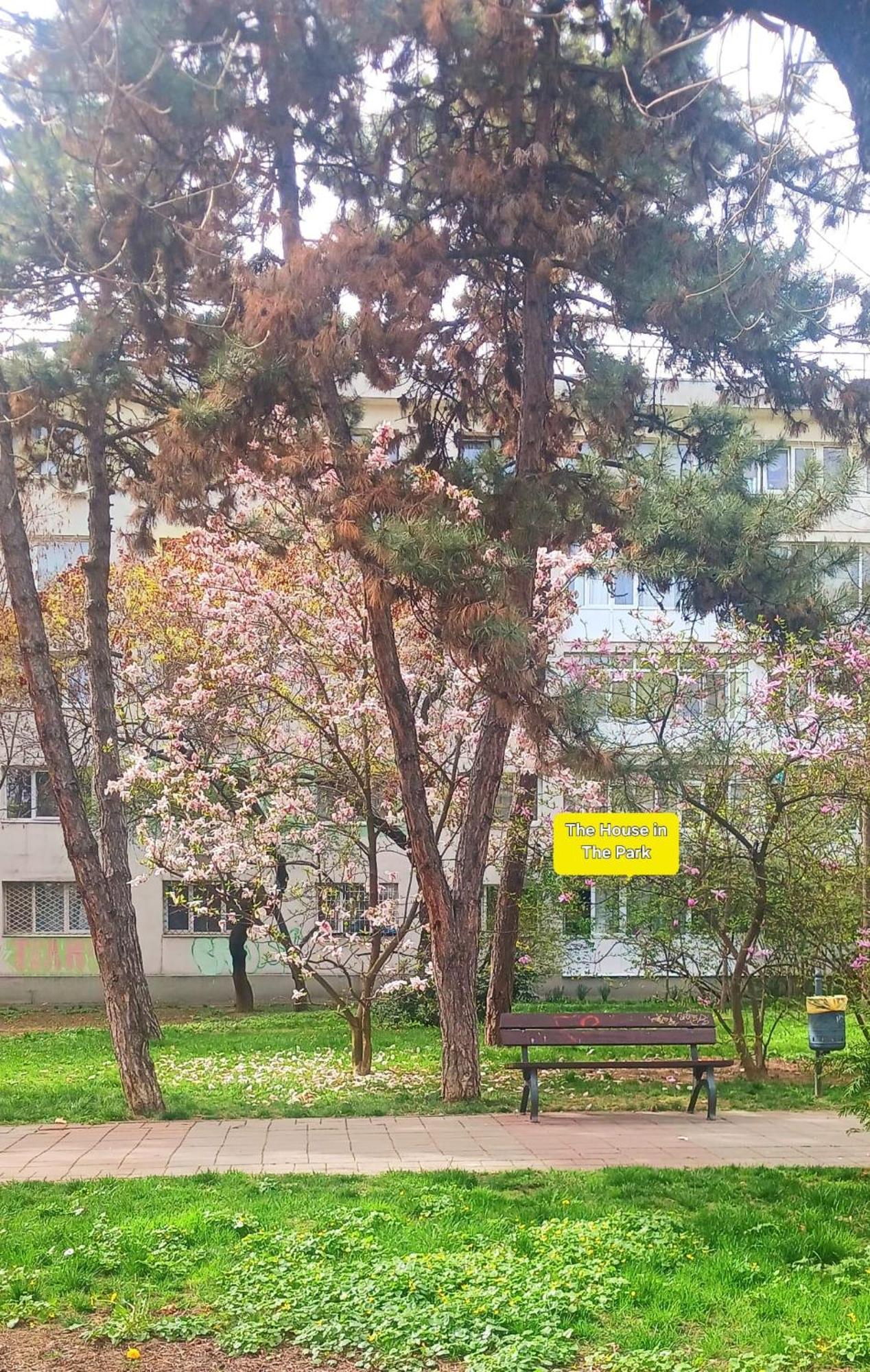 Апартаменты The House In The Park Бухарест Экстерьер фото